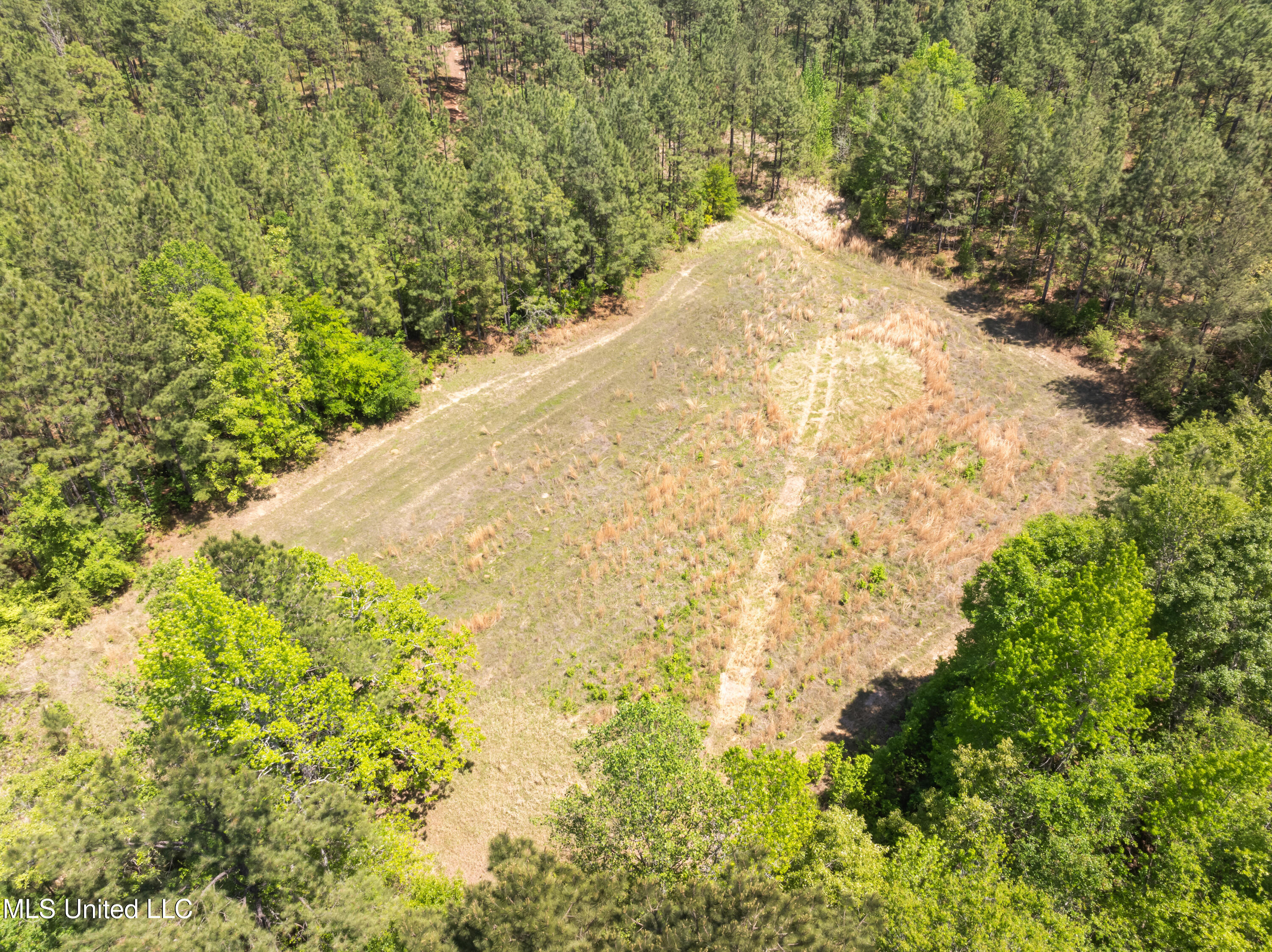 703 Ac +/- Purvis To Baxterville Road Property Photo 51