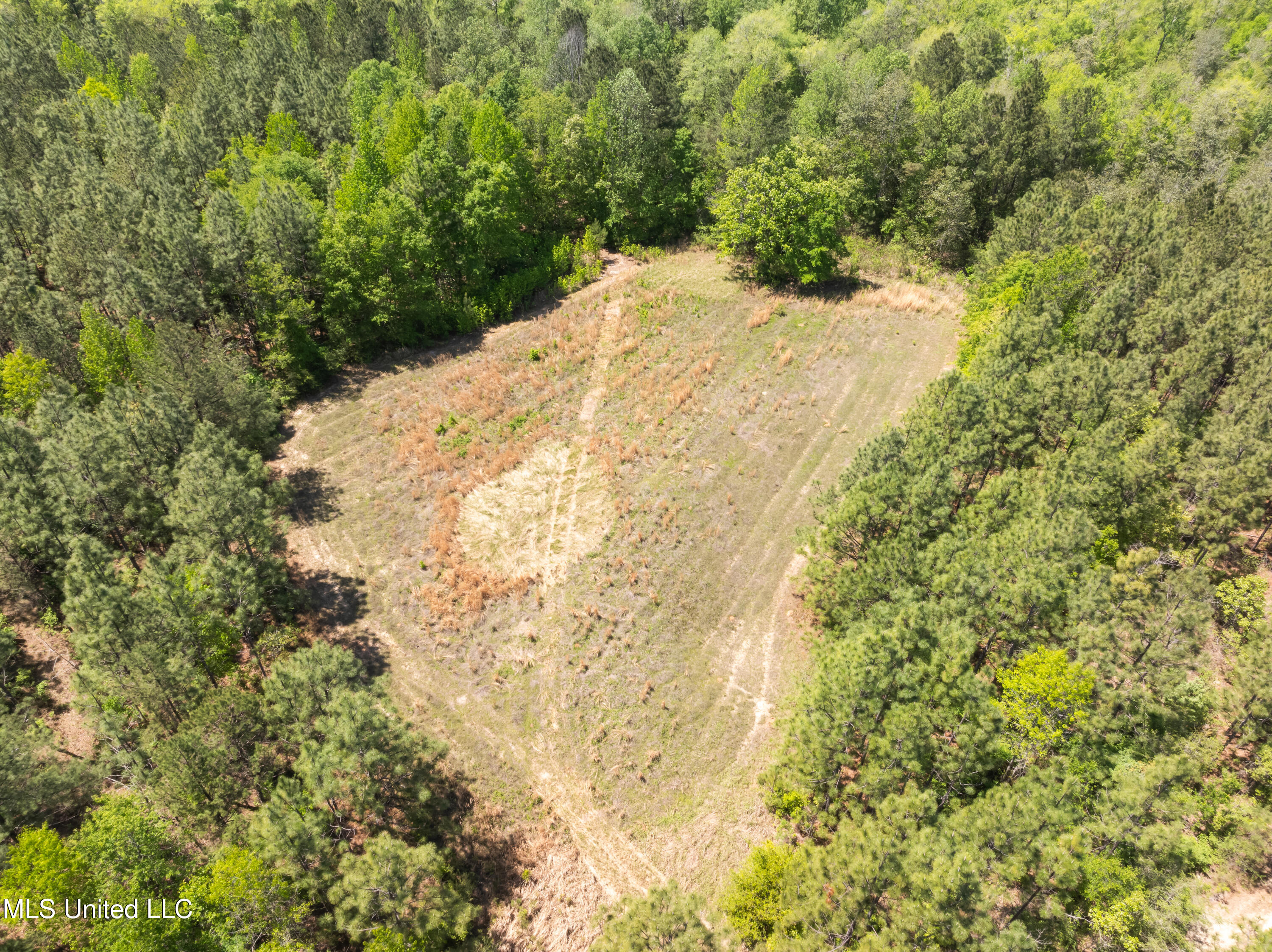 703 Ac +/- Purvis To Baxterville Road Property Photo 52