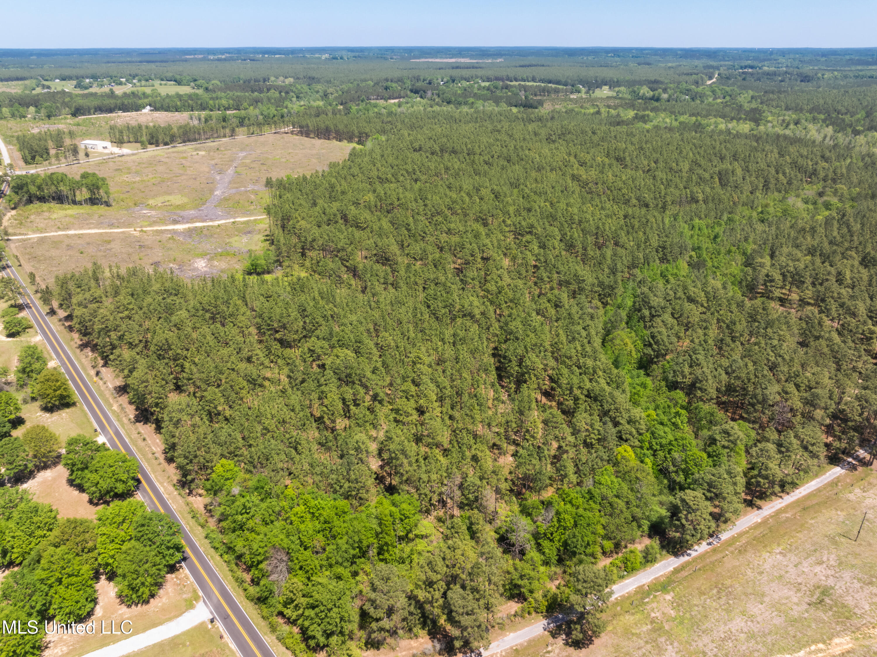 703 Ac +/- Purvis To Baxterville Road Property Photo 56