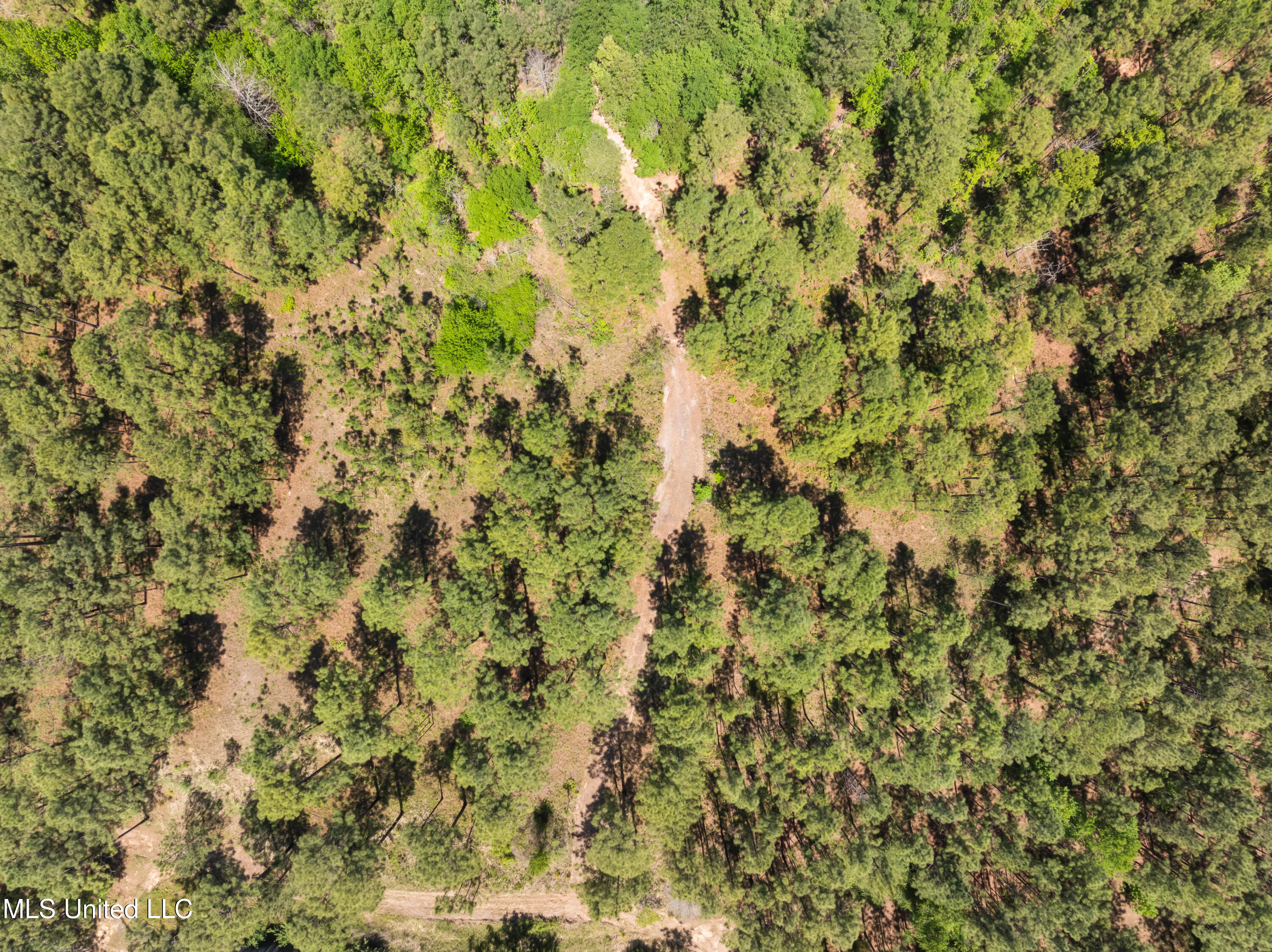 703 Ac +/- Purvis To Baxterville Road Property Photo 57