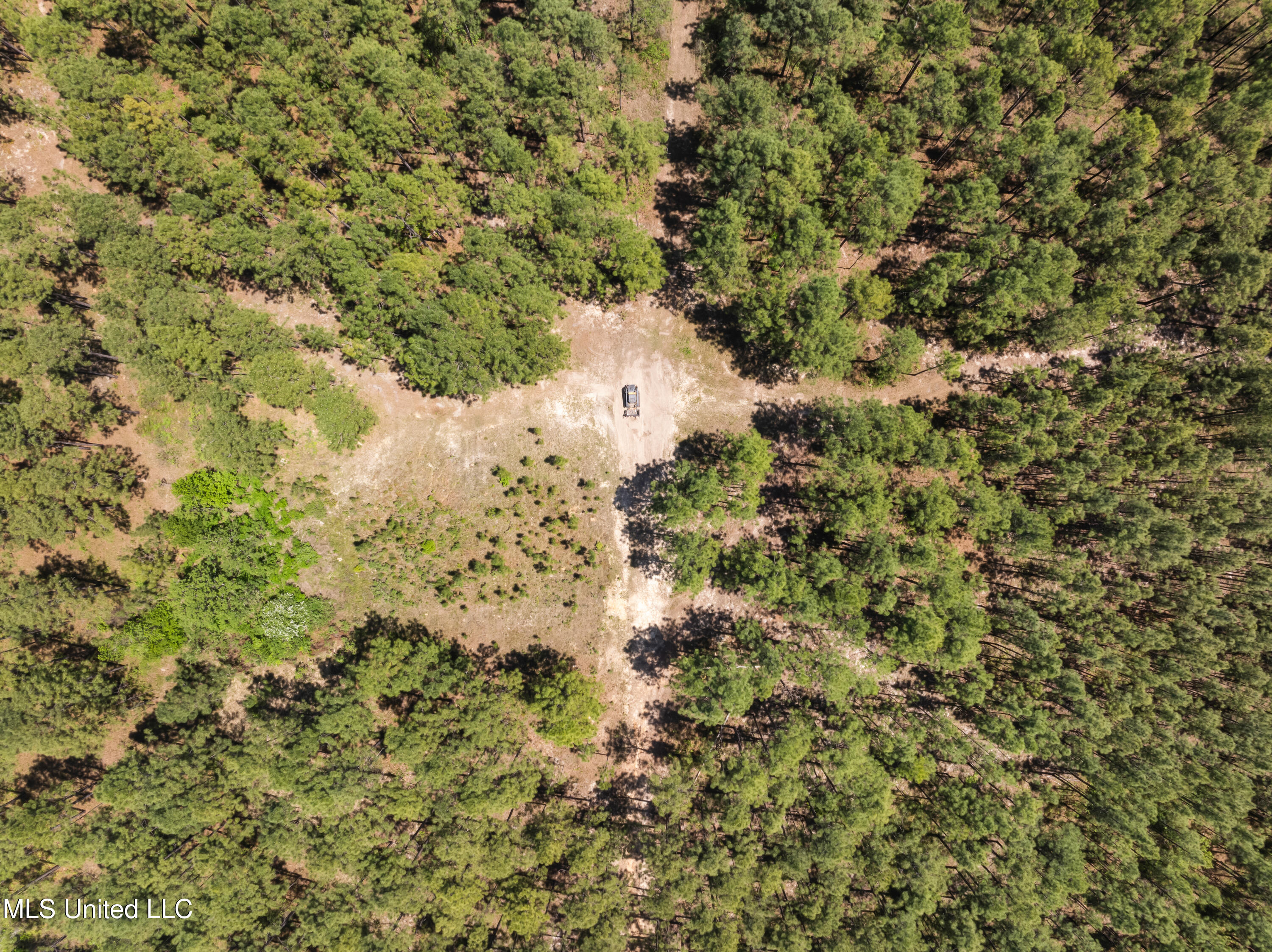 703 Ac +/- Purvis To Baxterville Road Property Photo 58