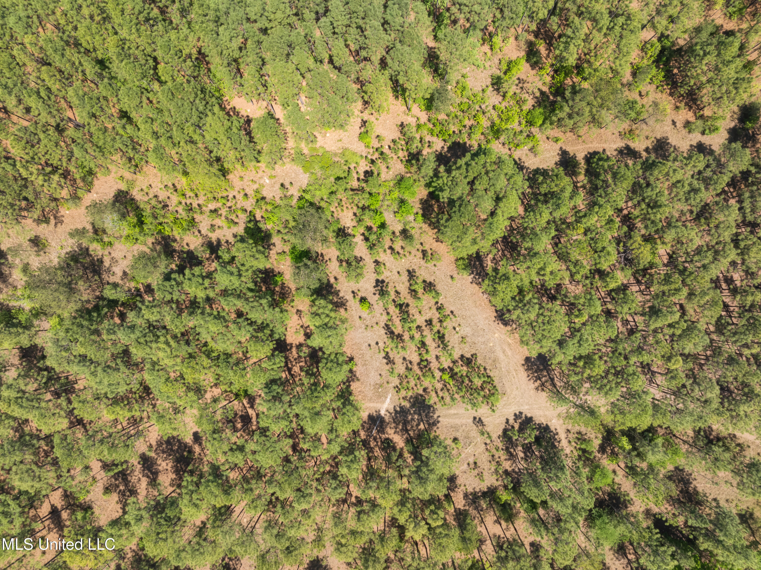 703 Ac +/- Purvis To Baxterville Road Property Photo 63