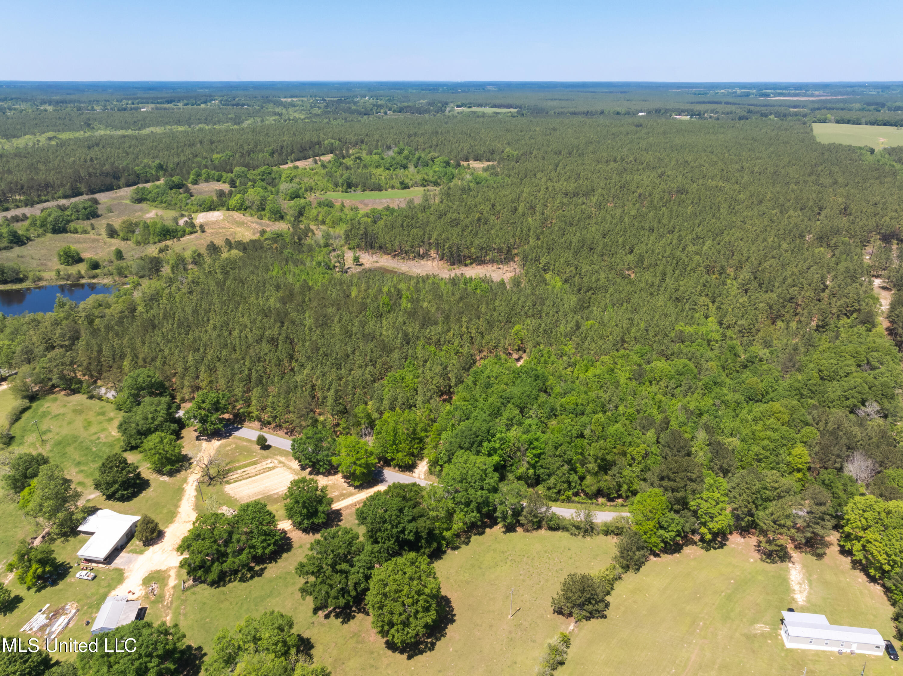 703 Ac +/- Purvis To Baxterville Road Property Photo 64