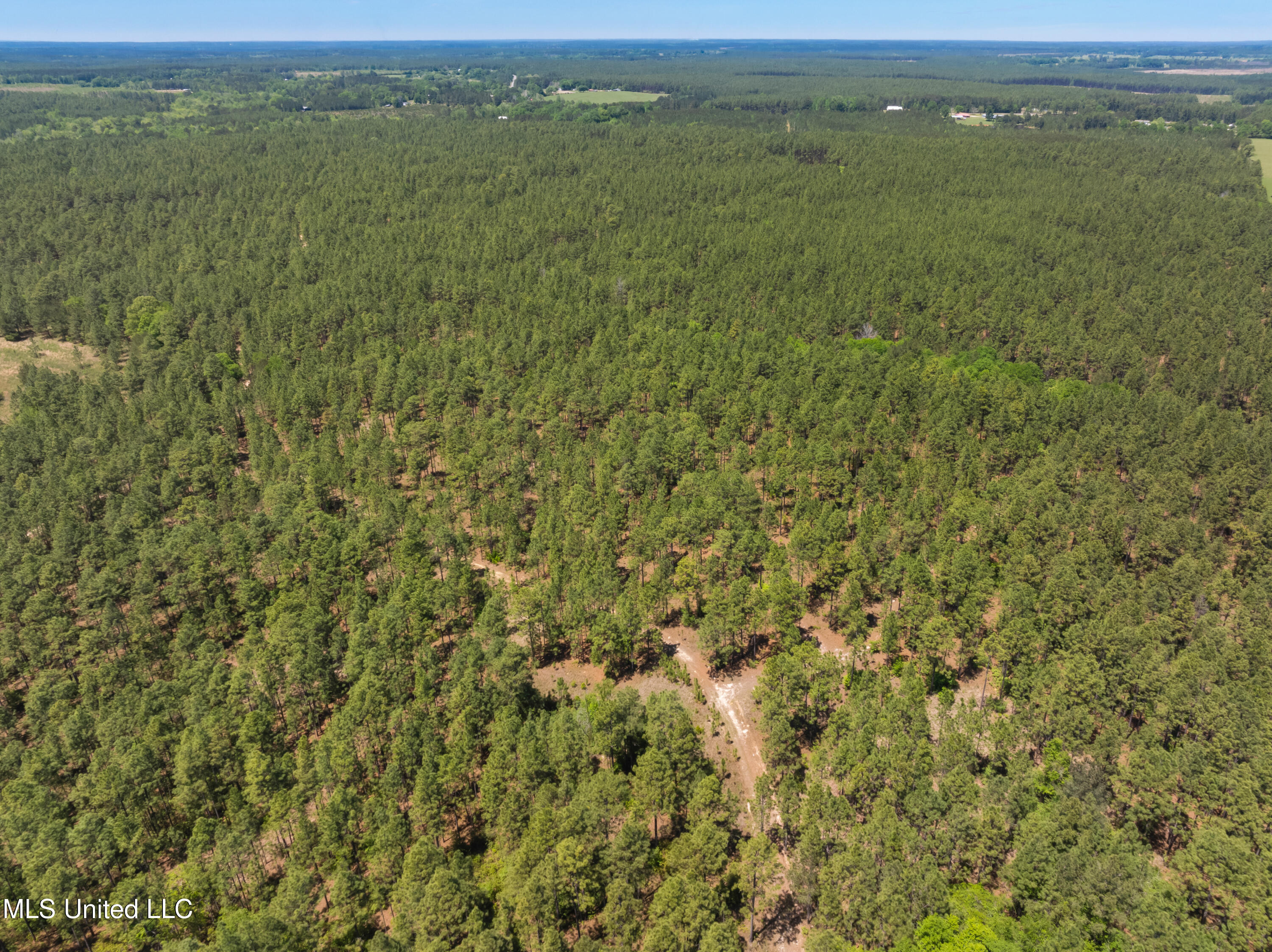 703 Ac +/- Purvis To Baxterville Road Property Photo 65