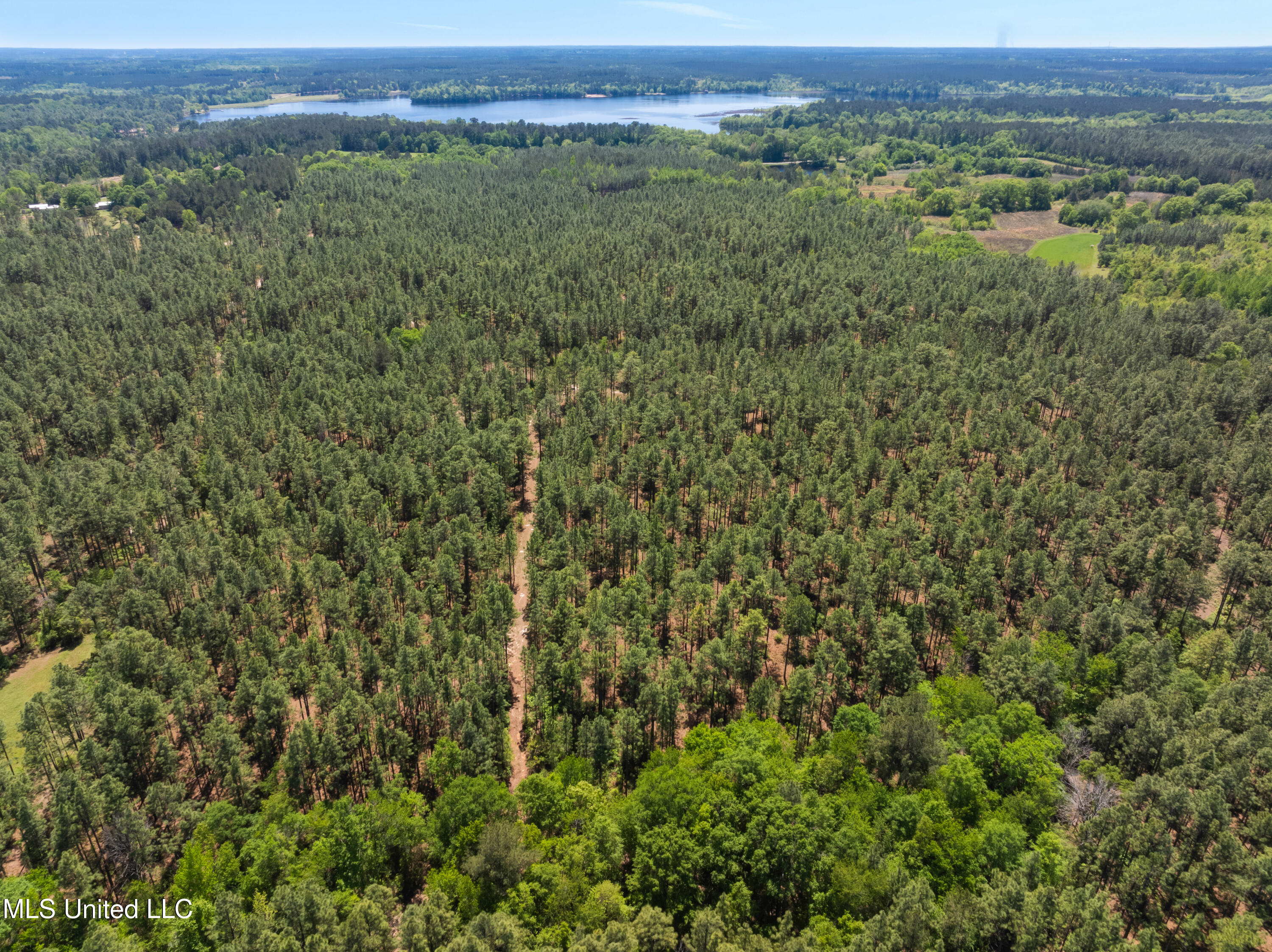 703 Ac +/- Purvis To Baxterville Road Property Photo 66