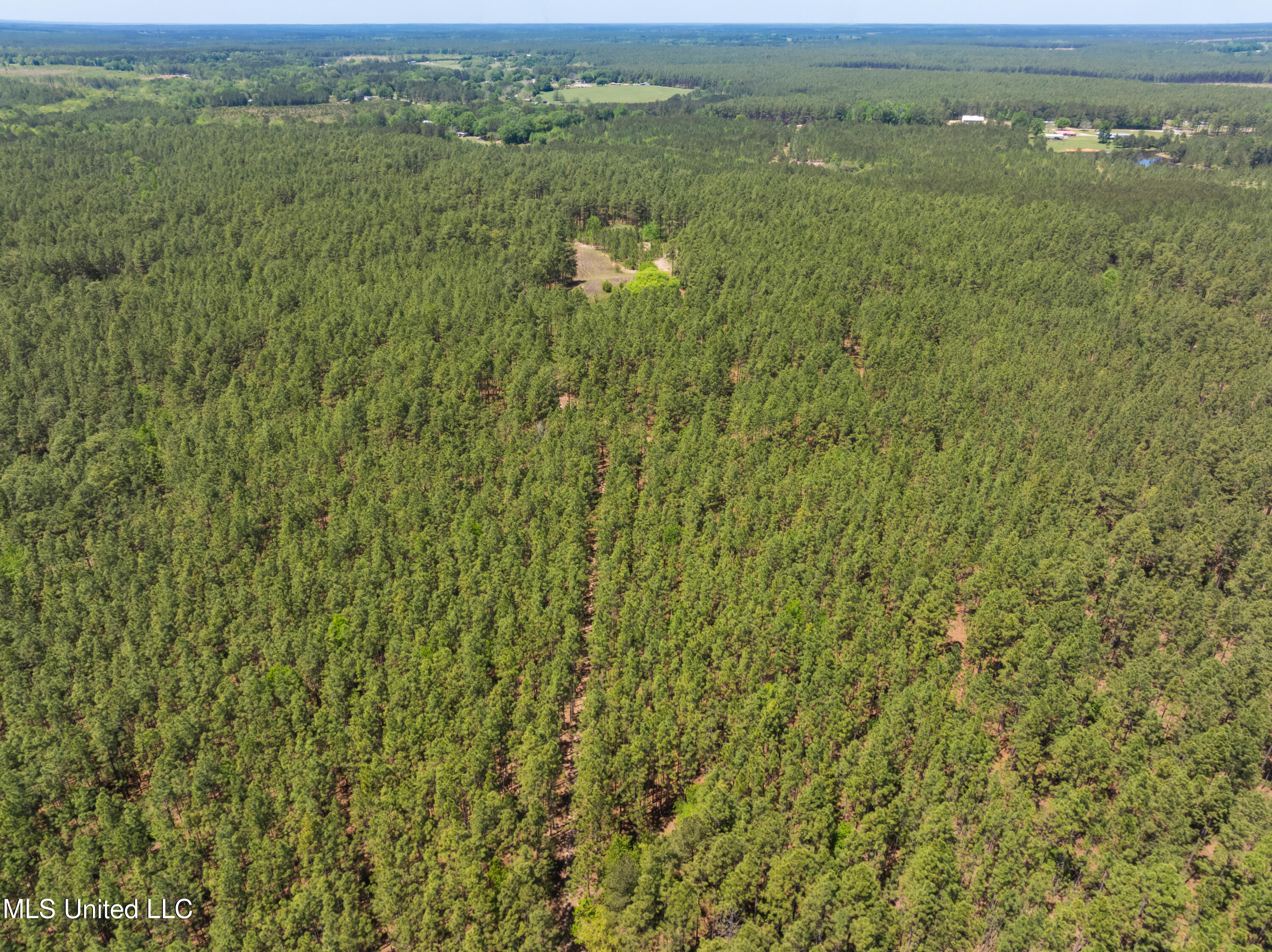 703 Ac +/- Purvis To Baxterville Road Property Photo 67