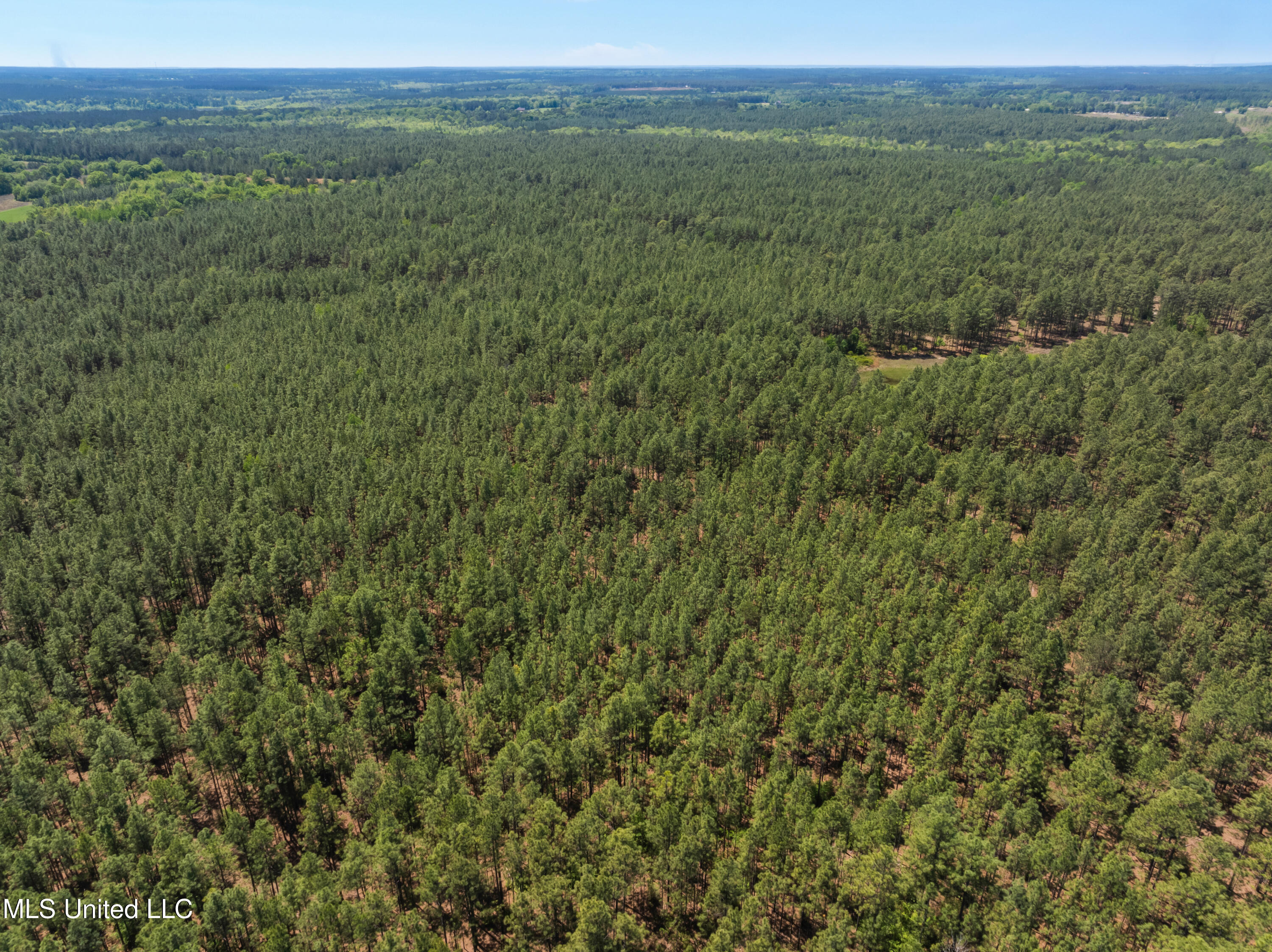 703 Ac +/- Purvis To Baxterville Road Property Photo 68
