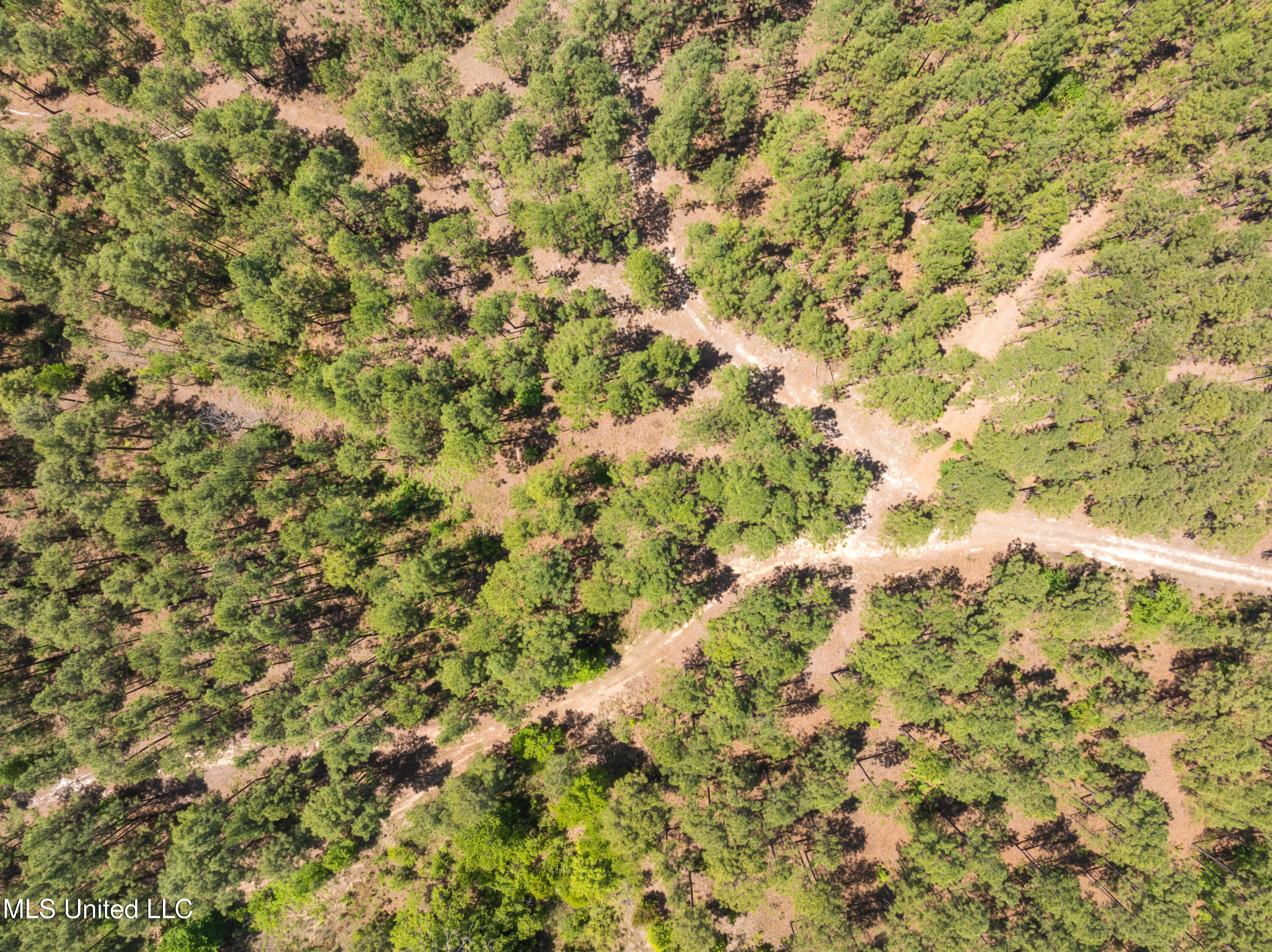 703 Ac +/- Purvis To Baxterville Road Property Photo 69