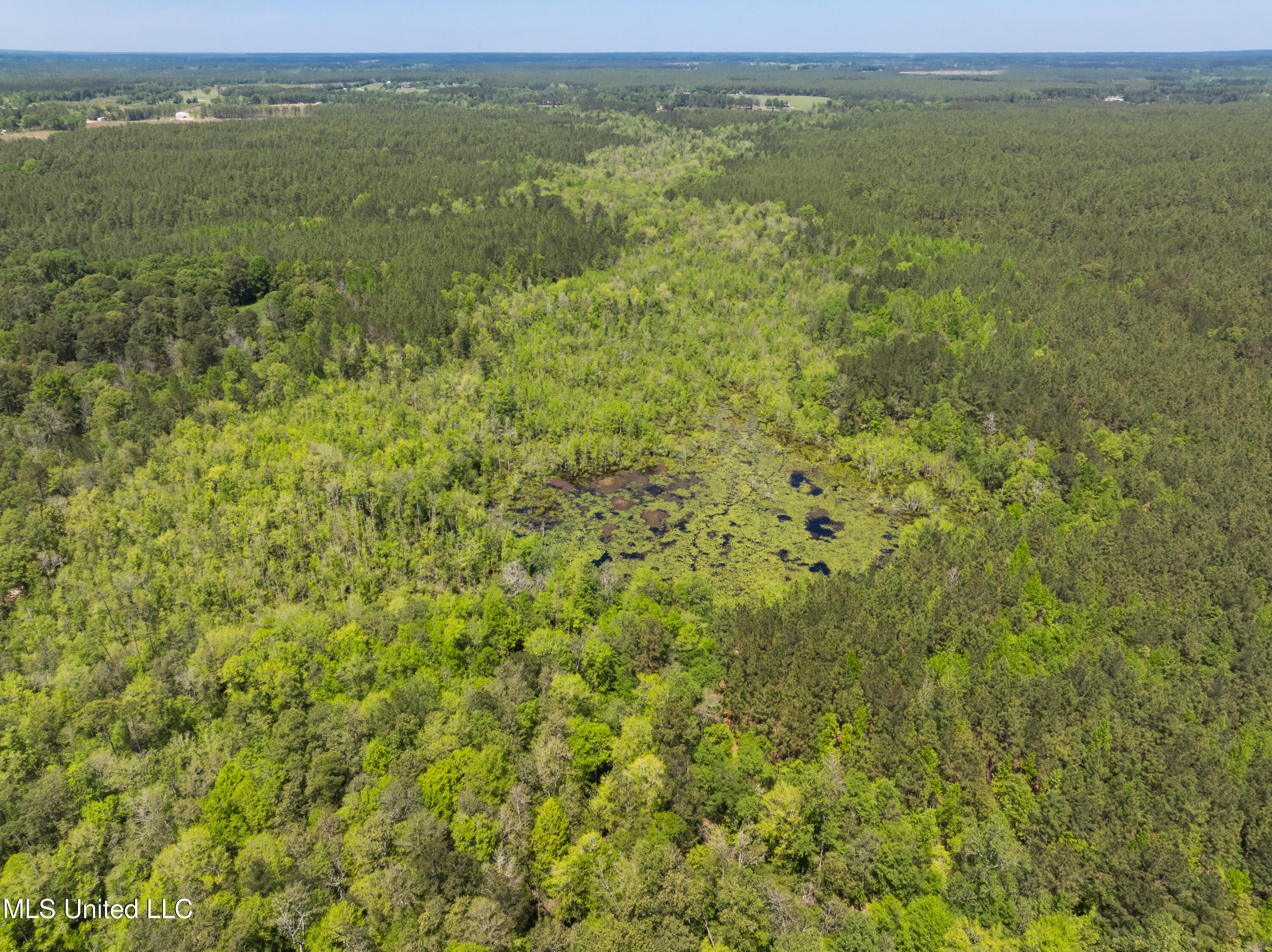 703 Ac +/- Purvis To Baxterville Road Property Photo 70
