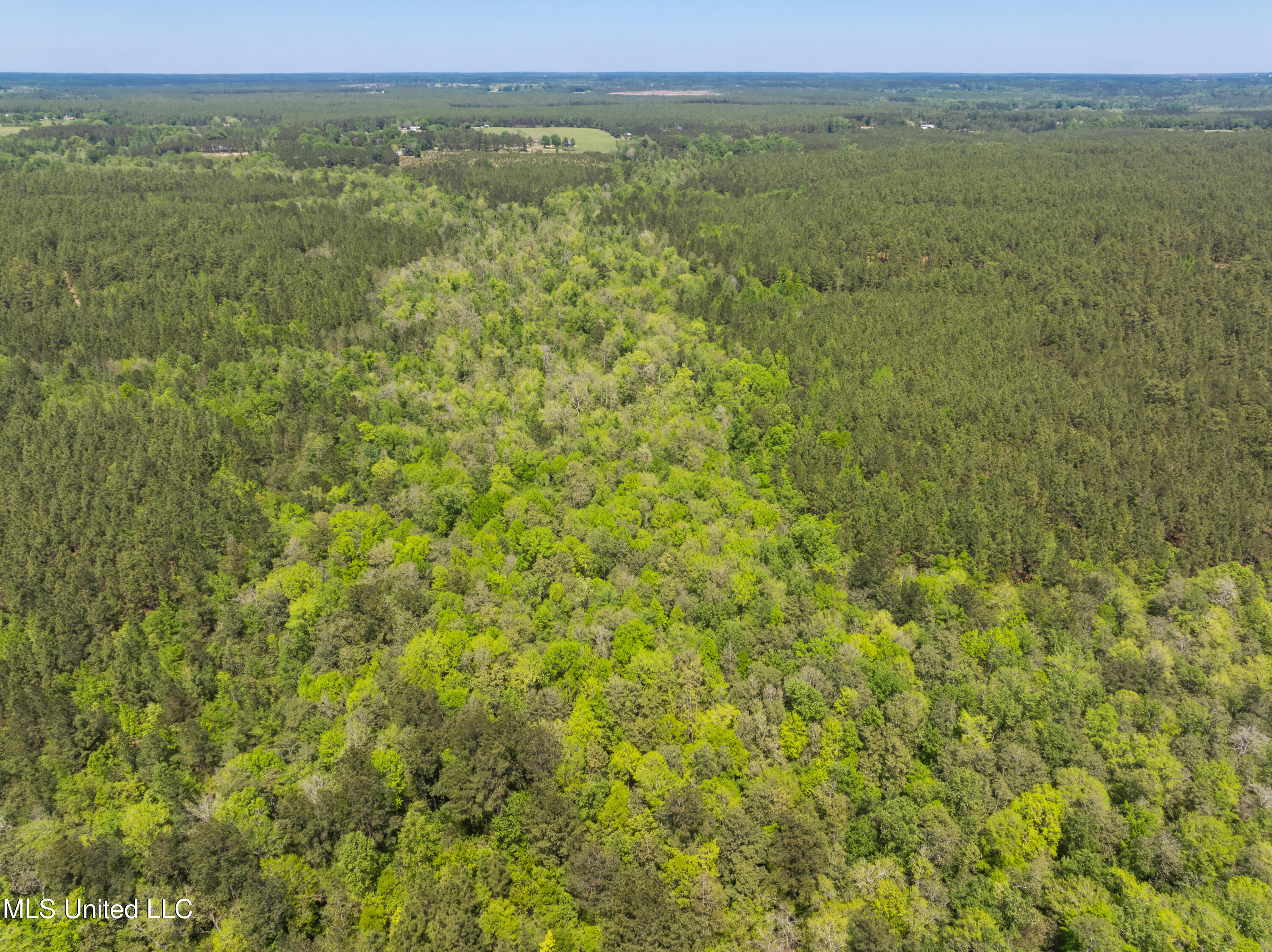 703 Ac +/- Purvis To Baxterville Road Property Photo 71