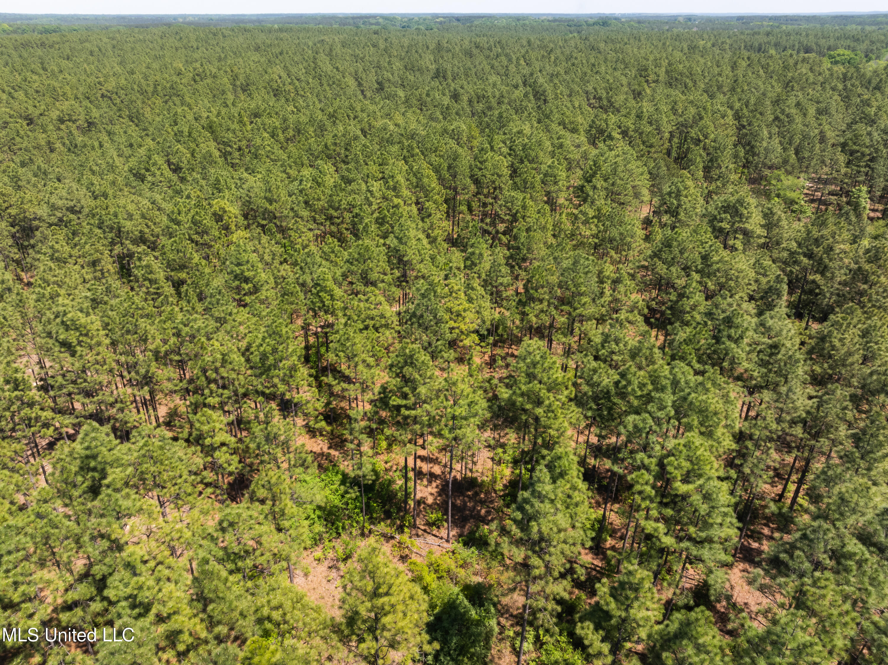 703 Ac +/- Purvis To Baxterville Road Property Photo 72