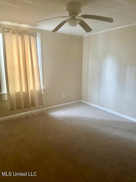 3810 Sherwood Drive Property Photo 8