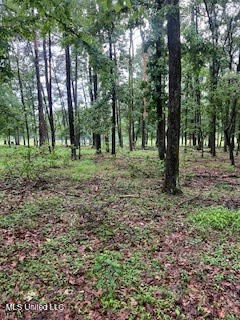 450 Sw Apple Trail Property Photo 6