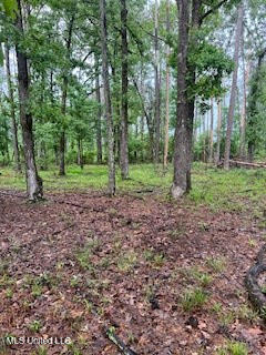 450 Sw Apple Trail Property Photo 10