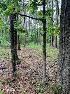 450 Sw Apple Trail Property Photo 11