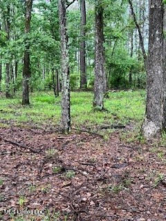 450 Sw Apple Trail Property Photo 12