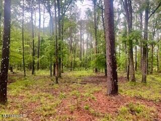 450 Sw Apple Trail Property Photo 13