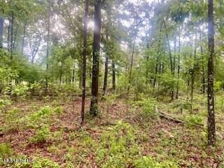 450 Sw Apple Trail Property Photo 14