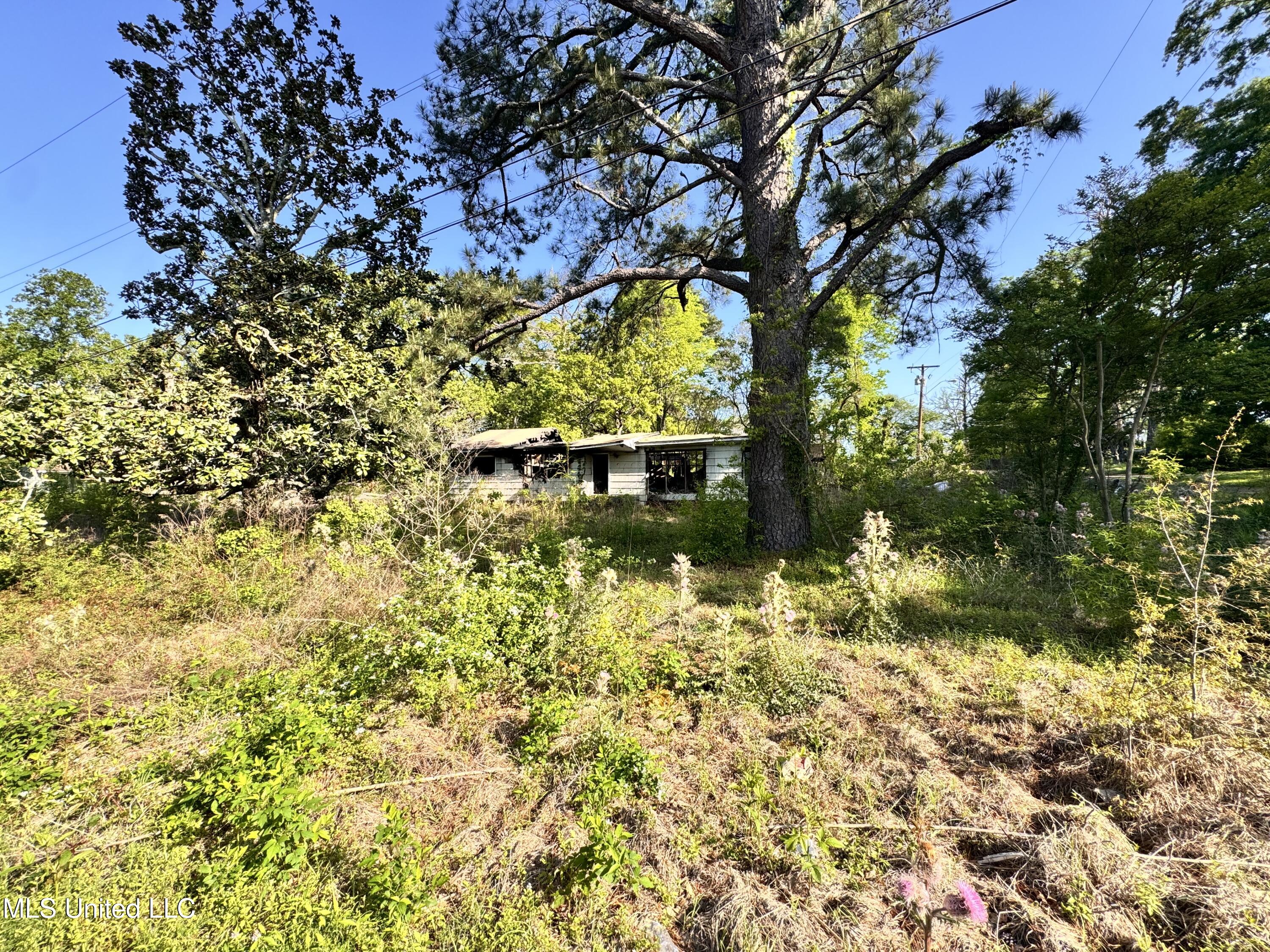 260 Marla Avenue Property Photo 2