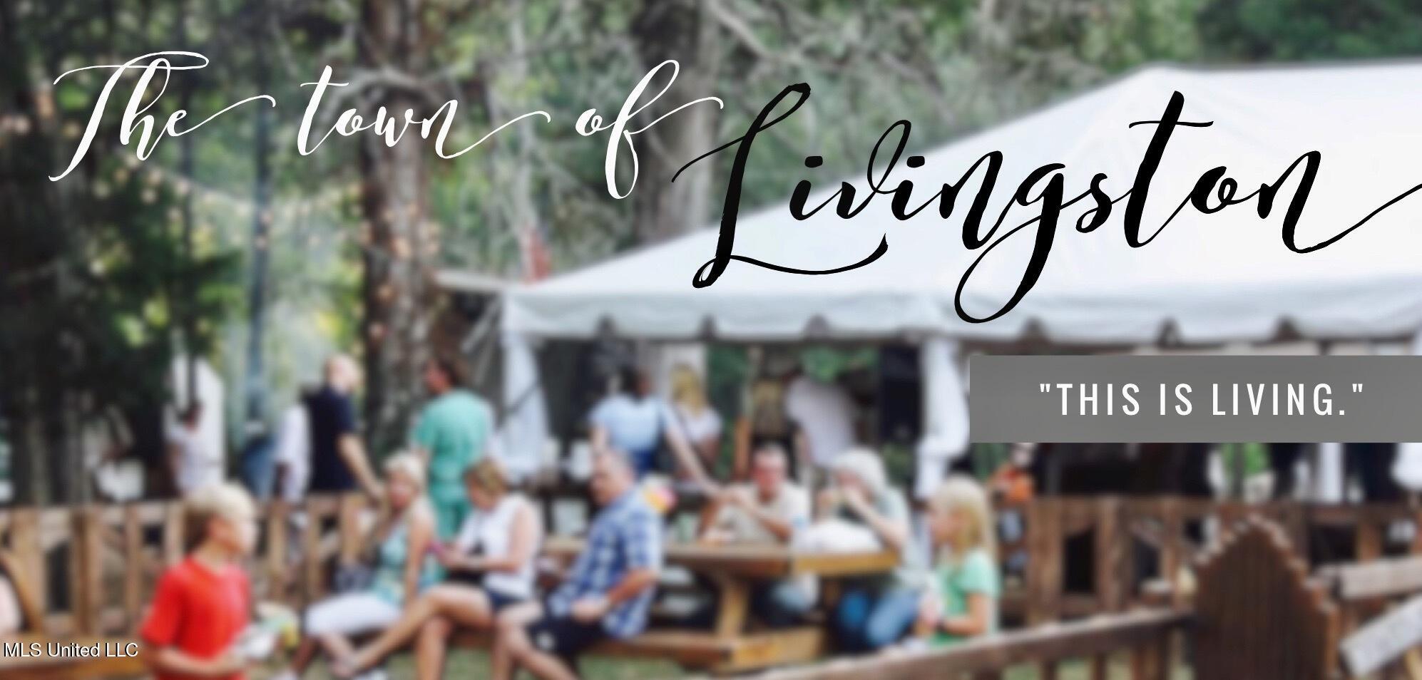 0 Cane Creek Road Property Photo 6