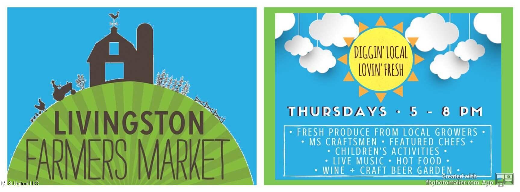 0 Cane Creek Road Property Photo 10