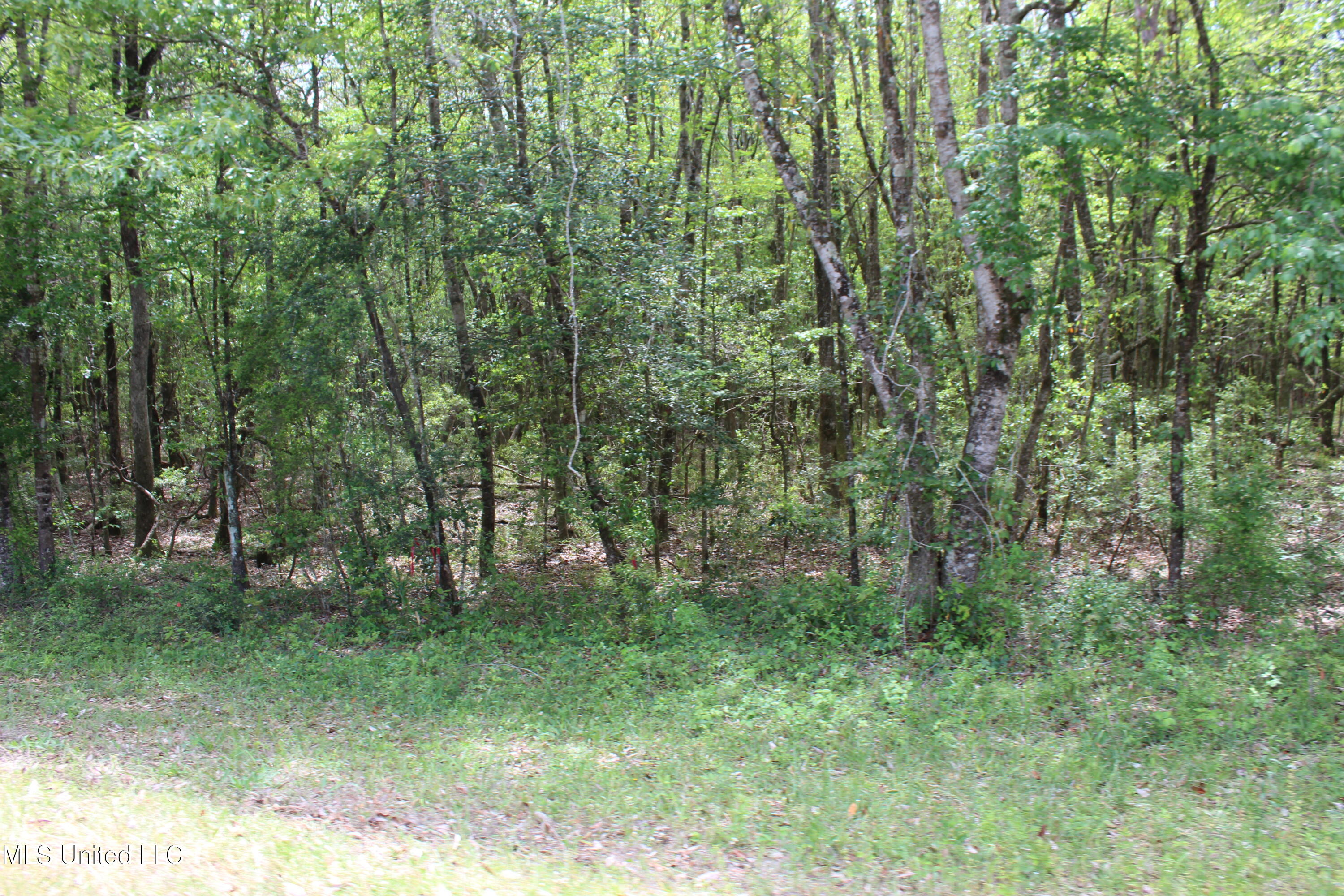 87.6 Acres Rousanville Road Property Photo 1