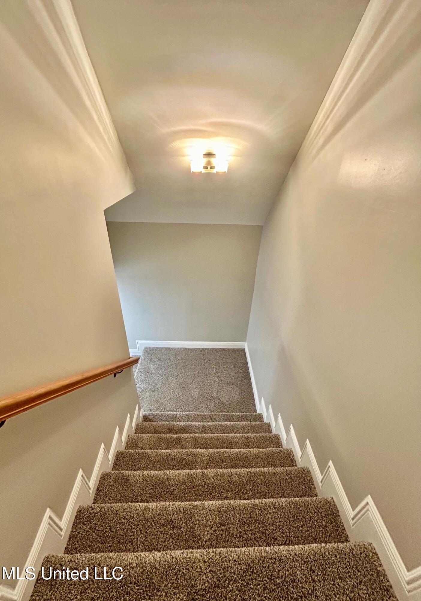 1024 Walnut Street Property Photo 19