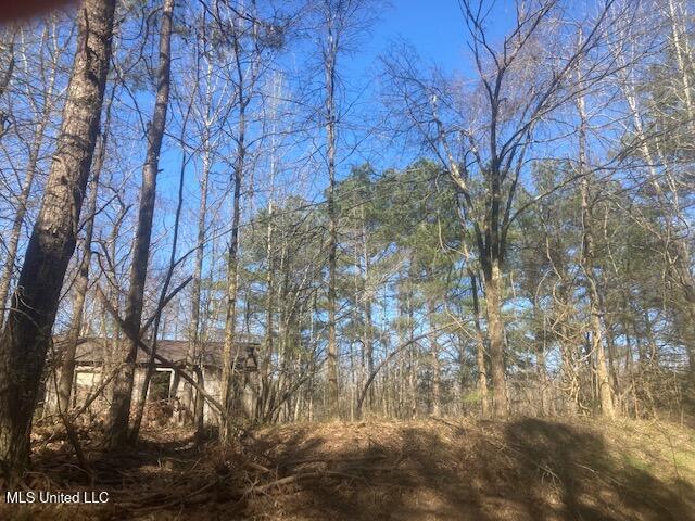 0 Hogan Road Property Photo 2