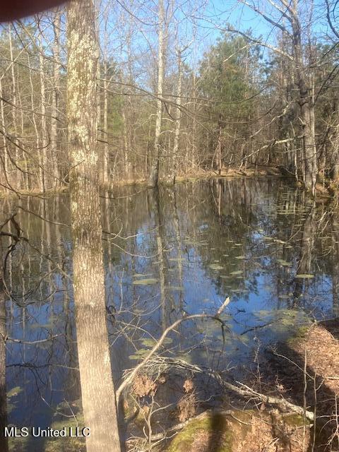 0 Hogan Road Property Photo 3