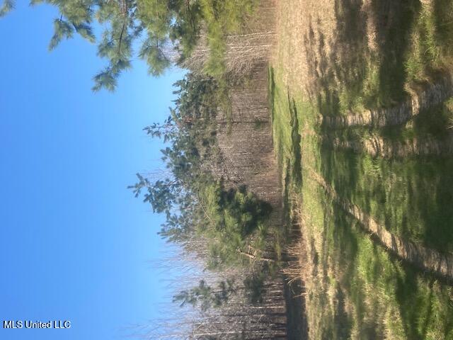 0 Hogan Road Property Photo 4