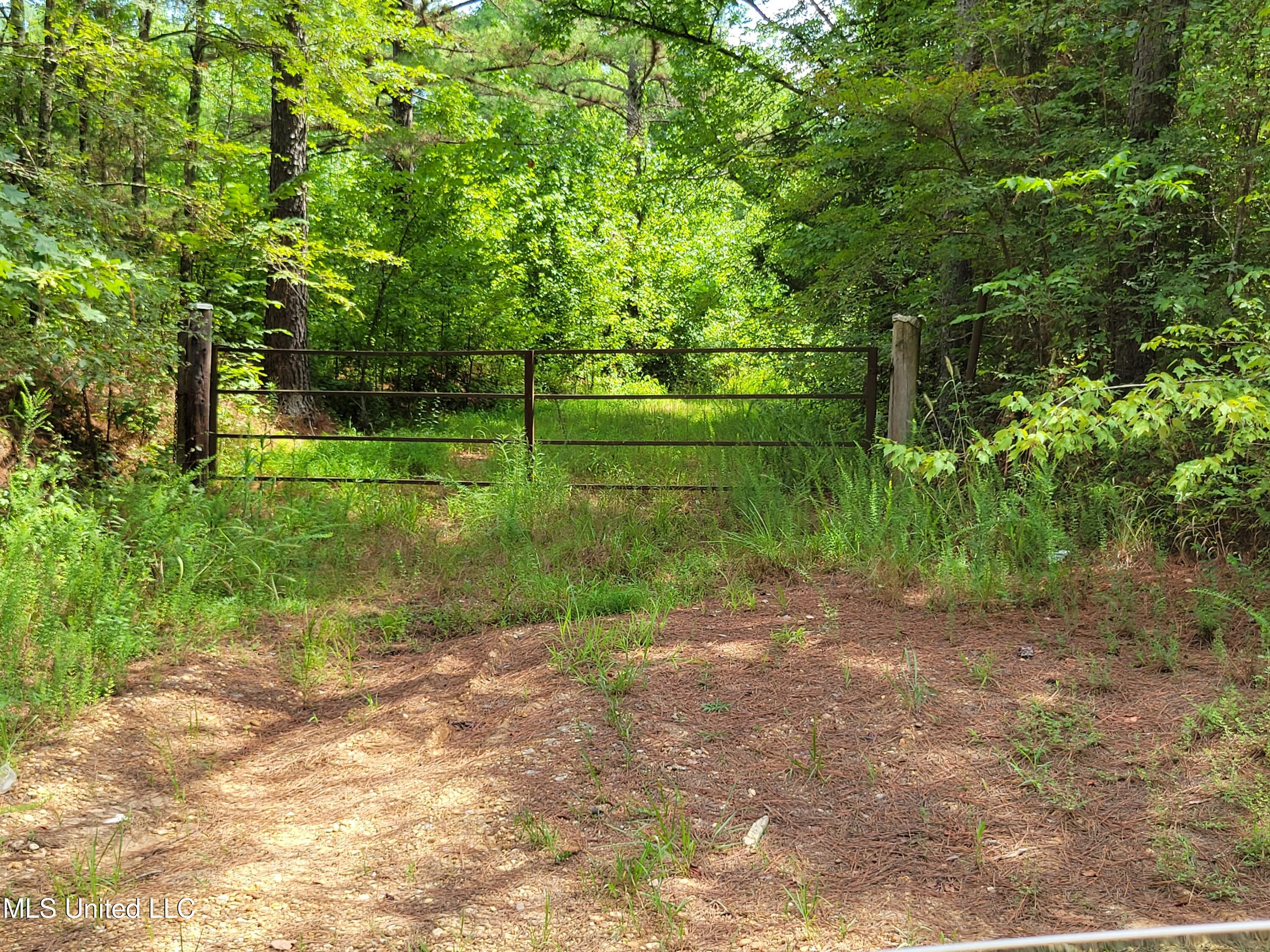 0 Hogan Road Property Photo 7