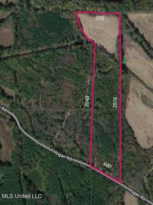 0 Hogan Road Property Photo 8