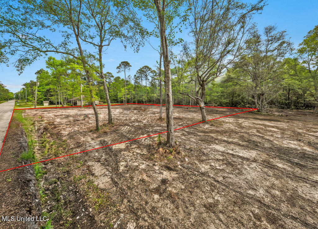 Dorothy Street Property Photo 2