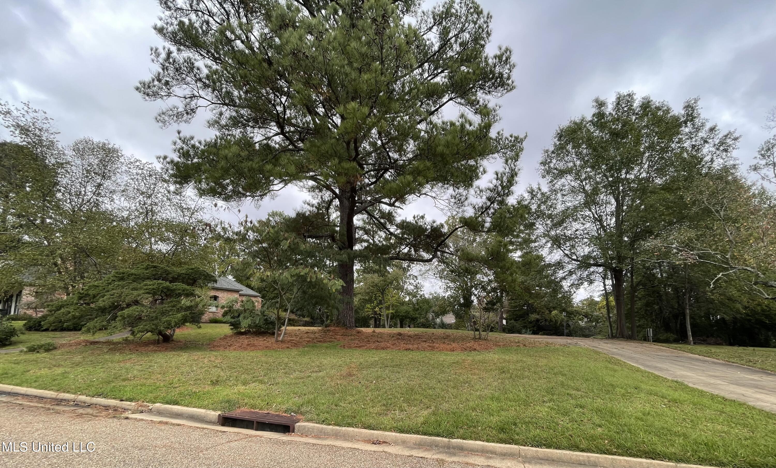102 Green Drive Property Photo 1