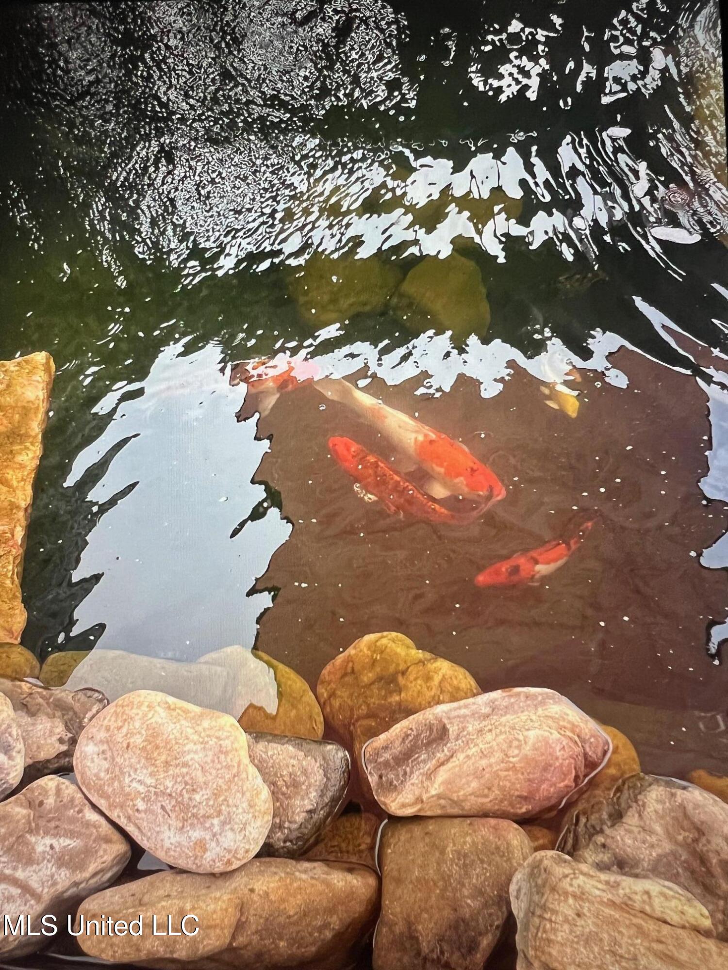 3740 Ms-301 Property Photo 28