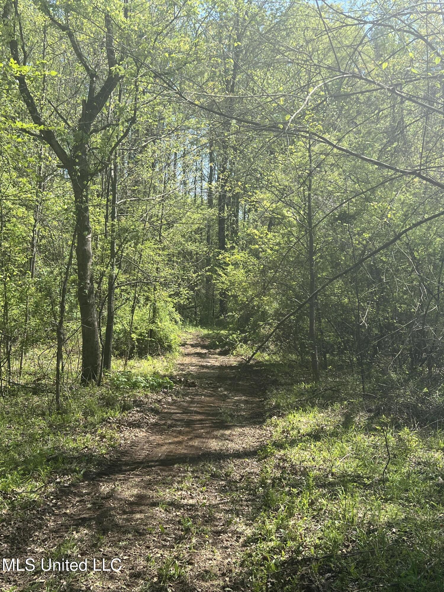 3740 Ms-301 Property Photo 47