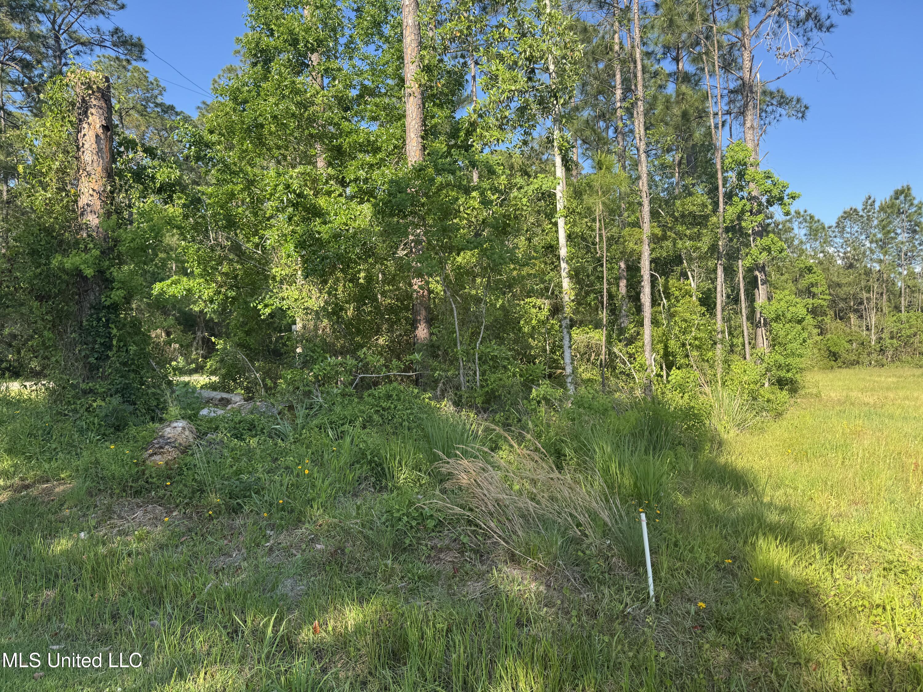 Nsn Suzanne Drive Property Photo 1