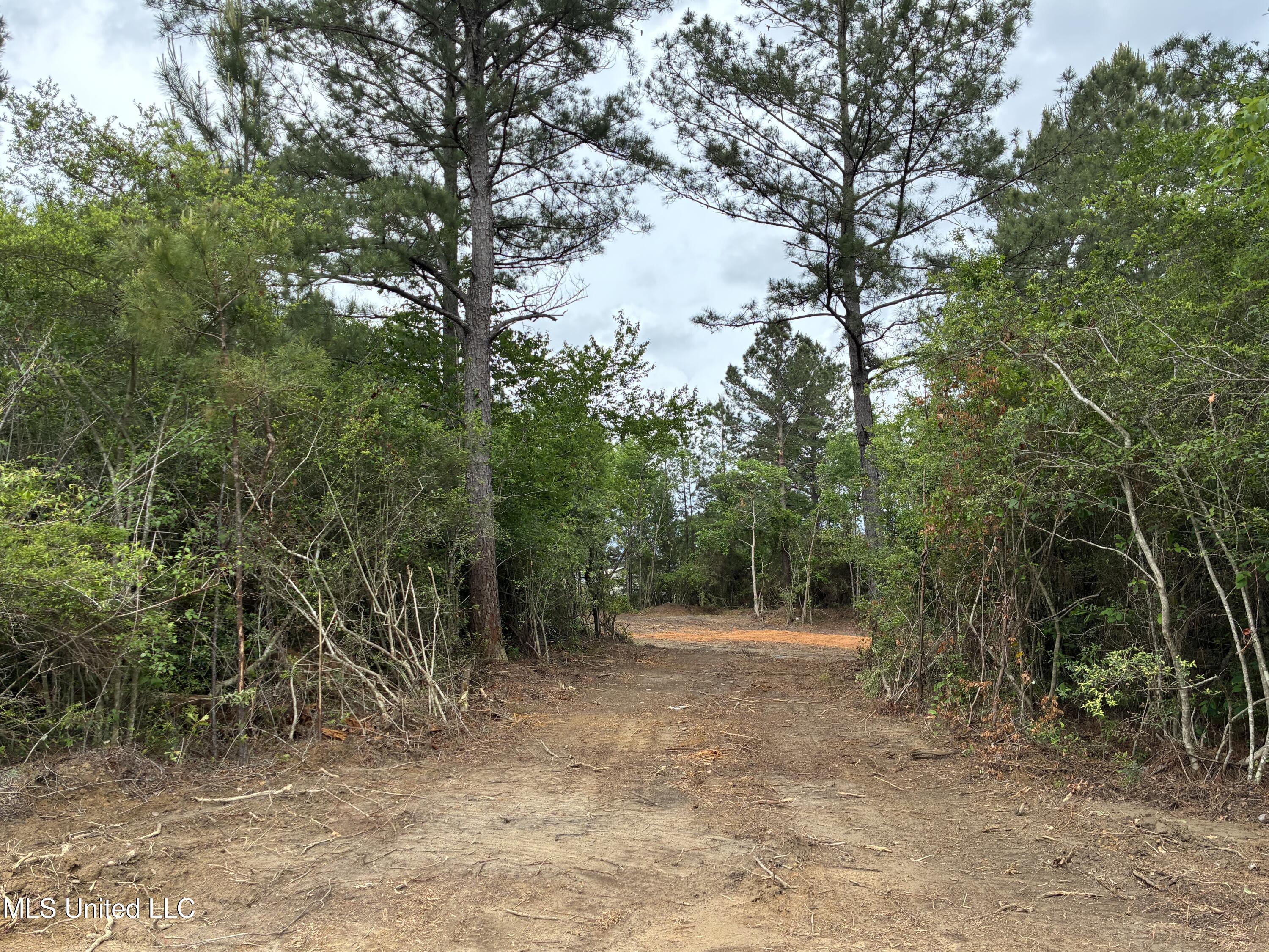 Lot 2 Wortham Road Property Photo 1