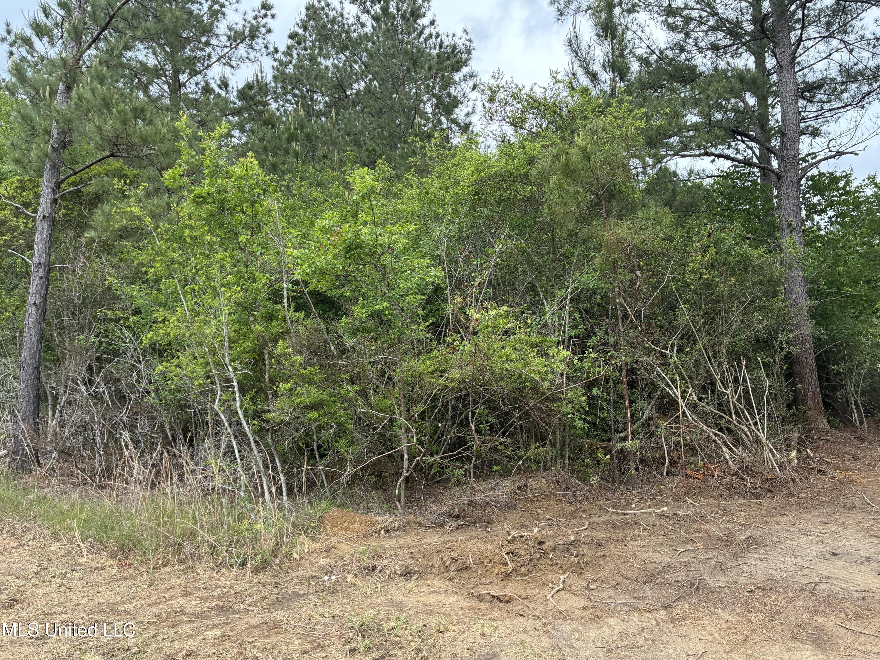Lot 3 Wortham Road Property Photo 9