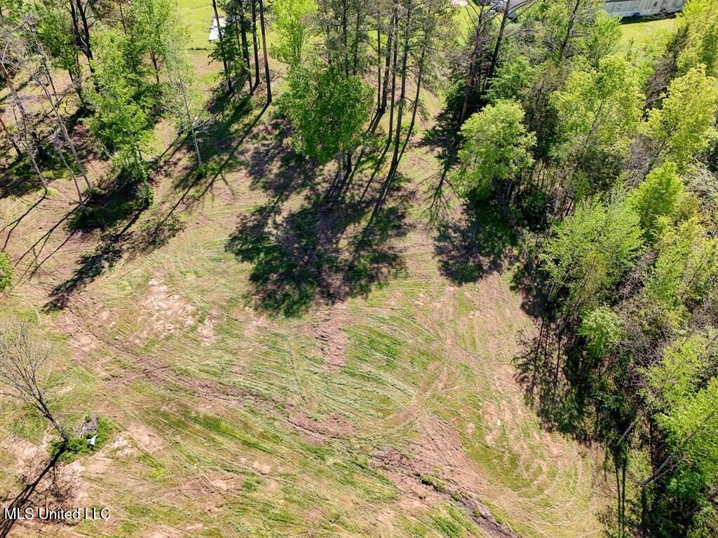 1037 Courtney Road Property Photo 5