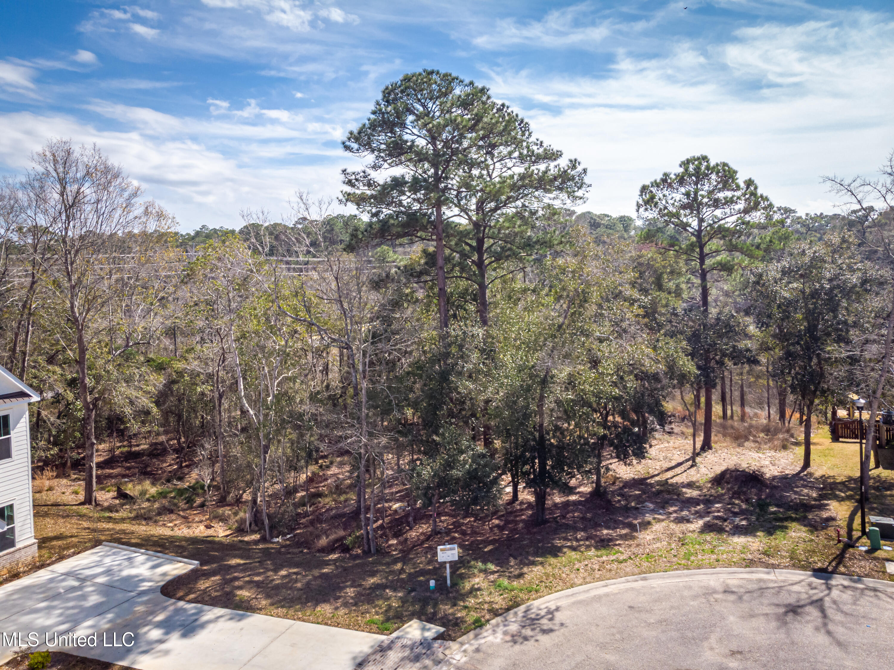 210 Bluff Cove Property Photo 4