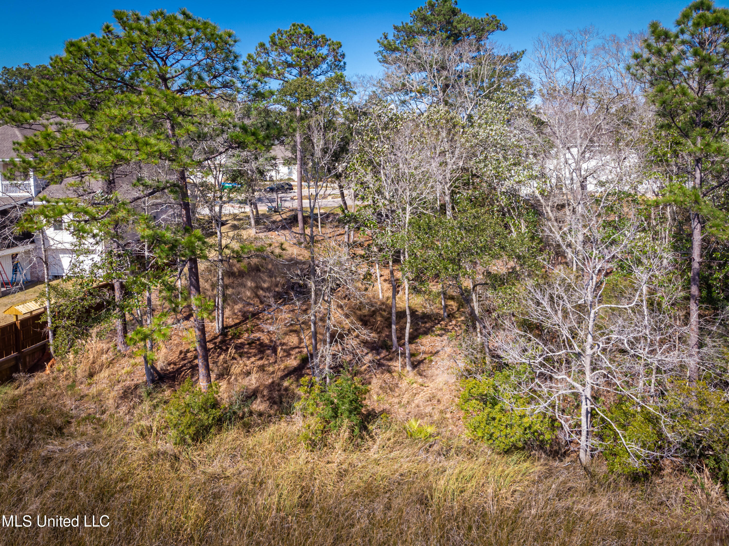 210 Bluff Cove Property Photo 5