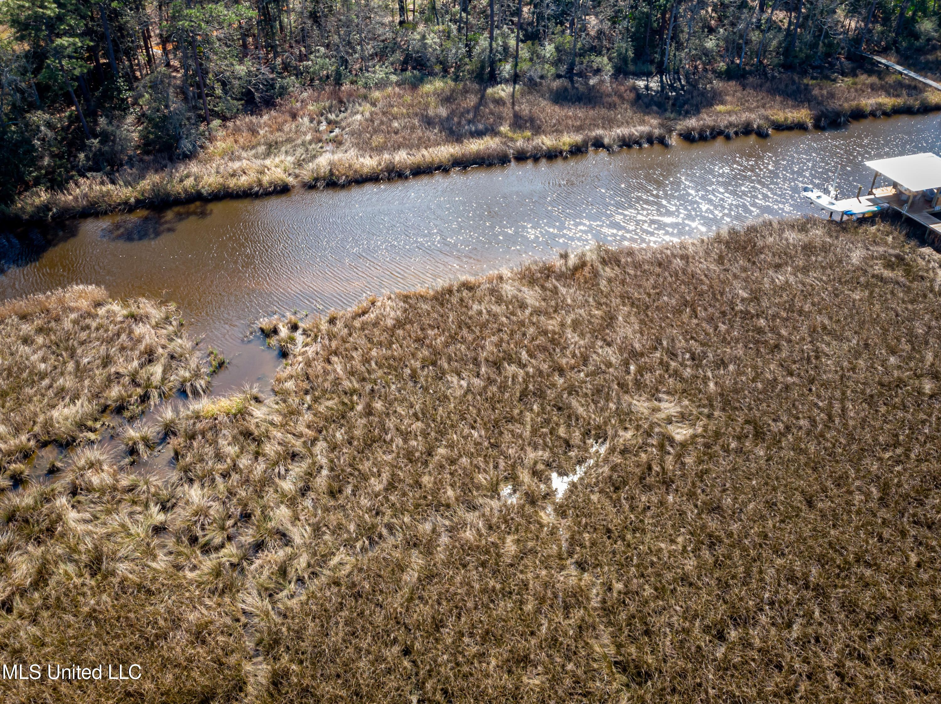 210 Bluff Cove Property Photo 6