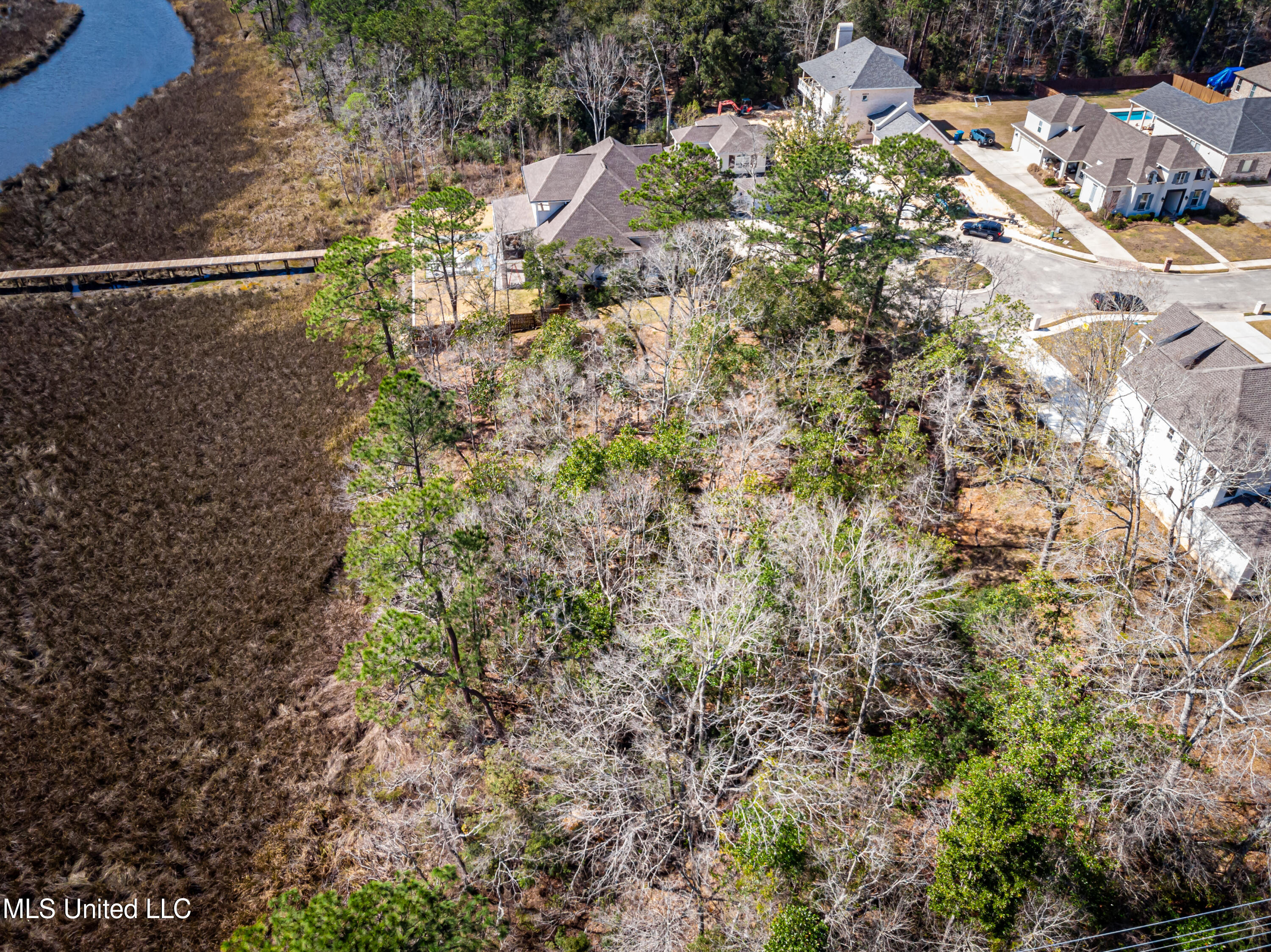 210 Bluff Cove Property Photo 8