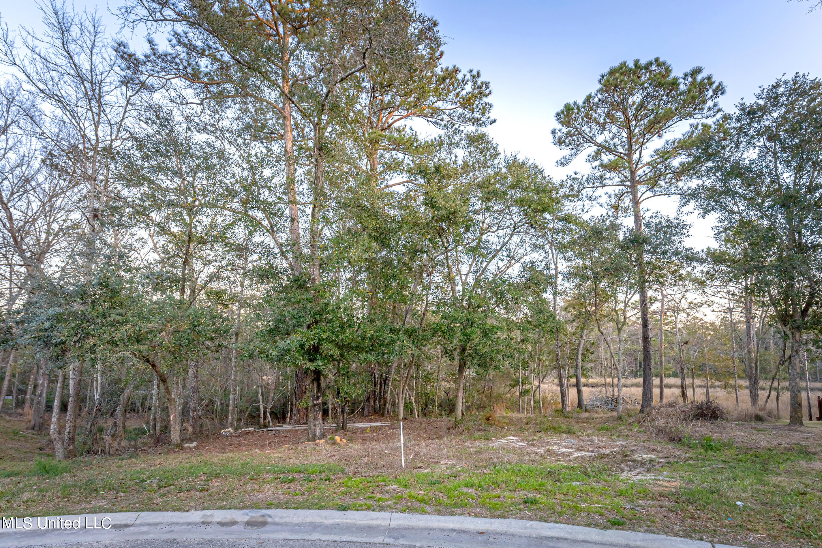 210 Bluff Cove Property Photo 12