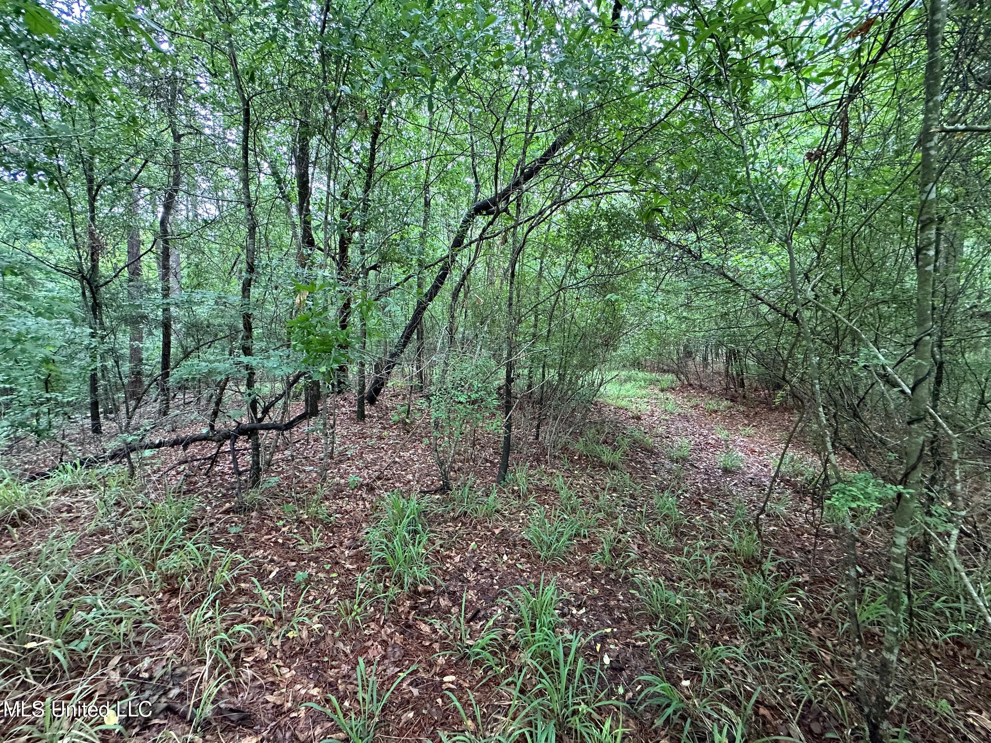 101 Madlyn Drive Property Photo 2