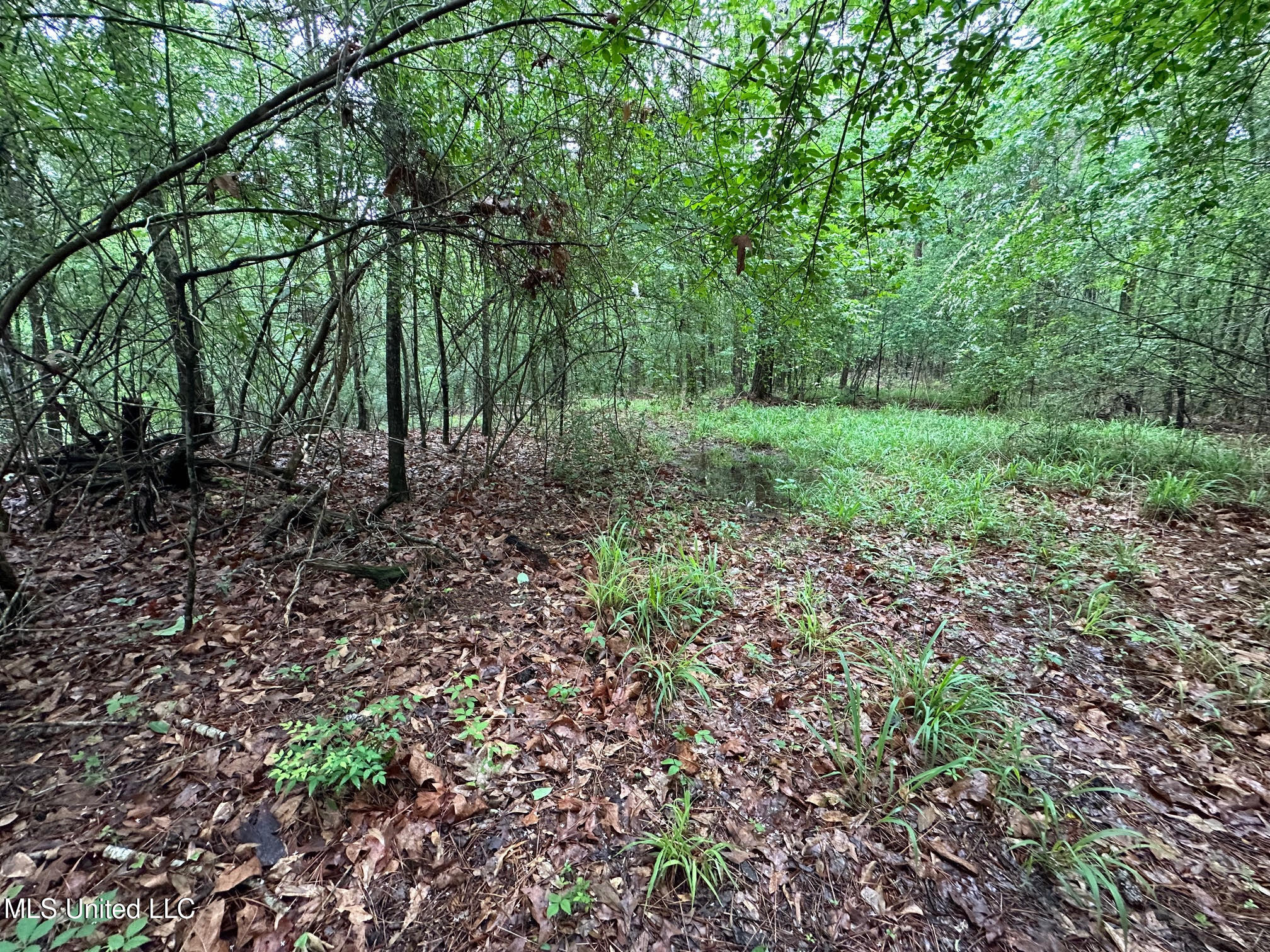 101 Madlyn Drive Property Photo 3