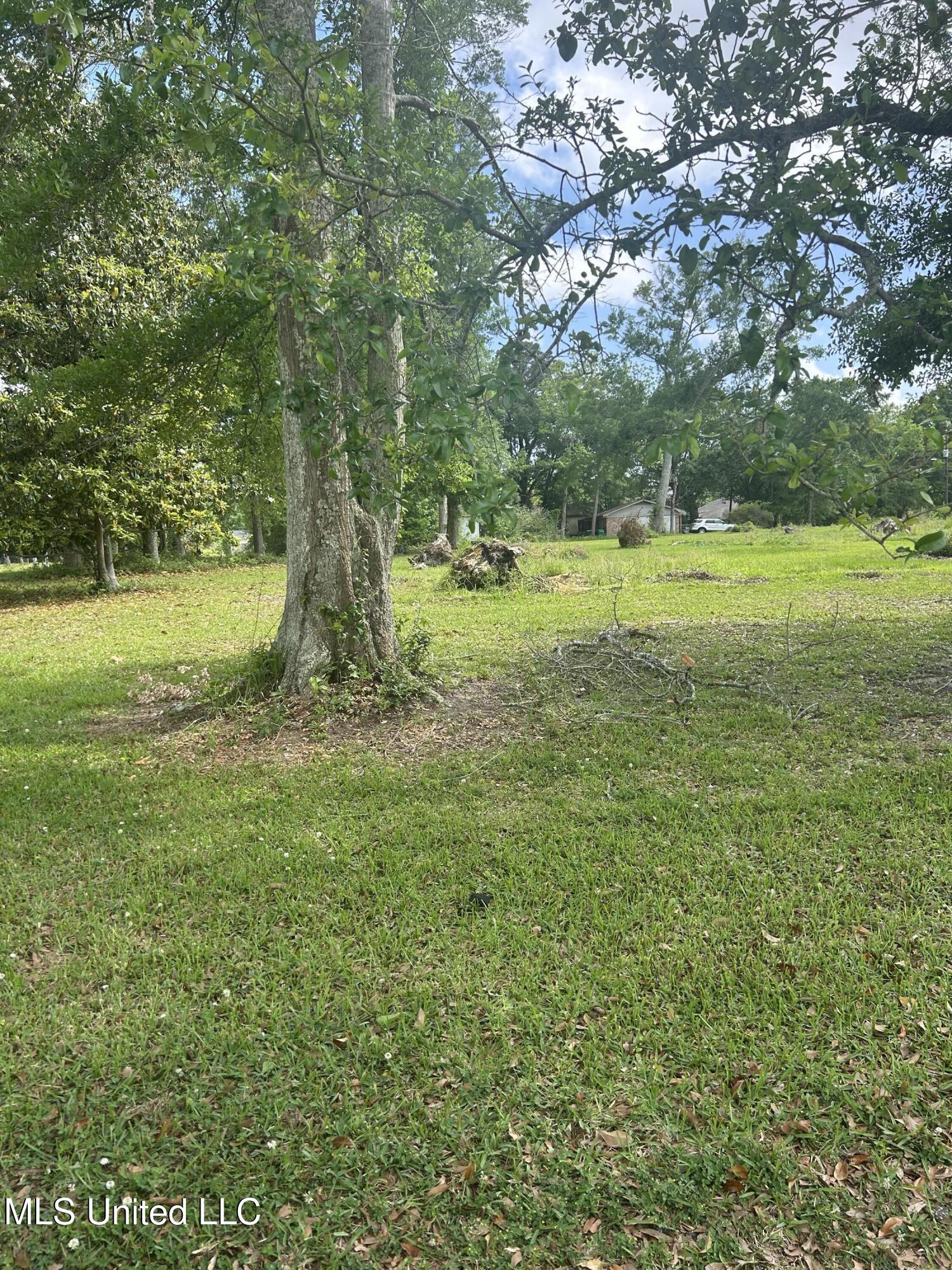 Magnolia Street Property Photo 1
