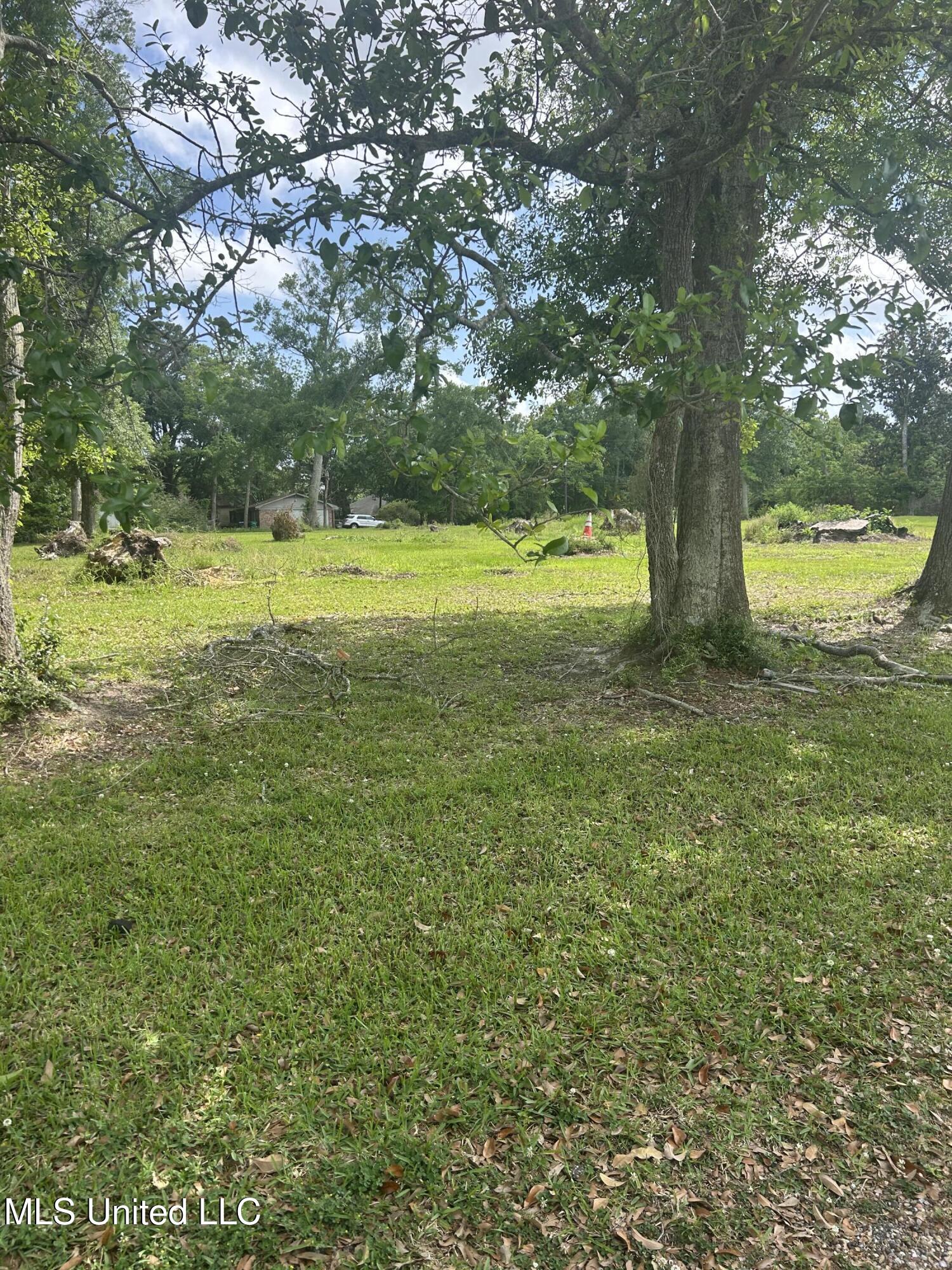 Magnolia Street Property Photo 2