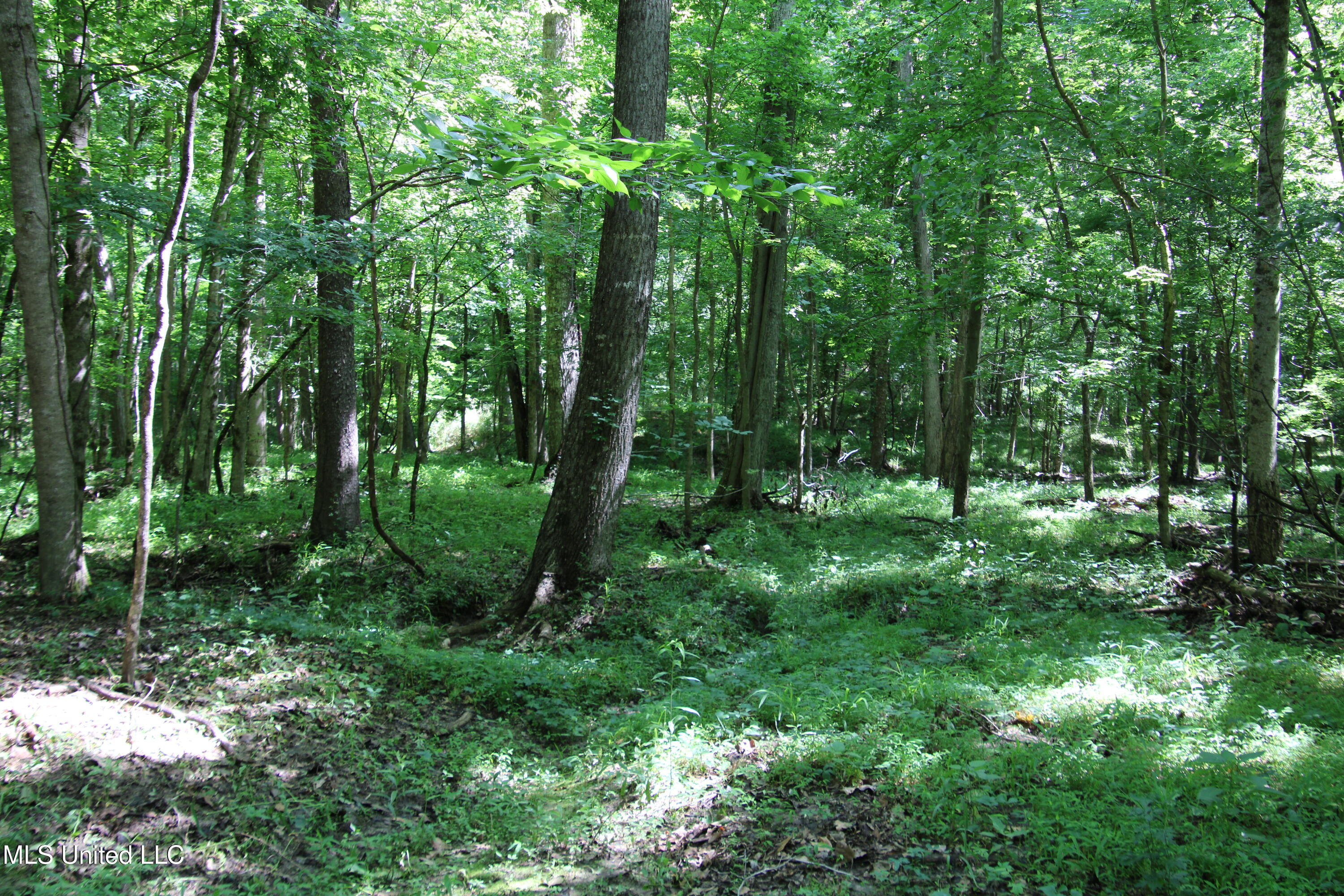 2936 Smith Rd Road Property Photo 11